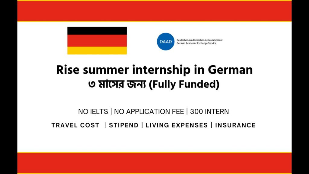 RISE Summer Internship 2025